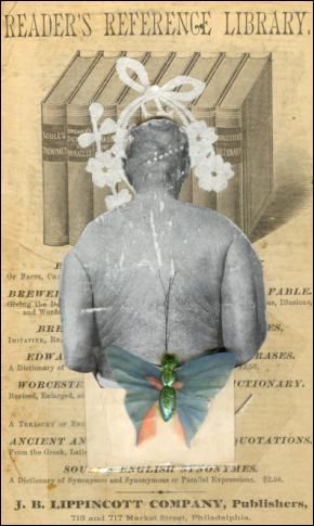 Chris Lawson Man Moth