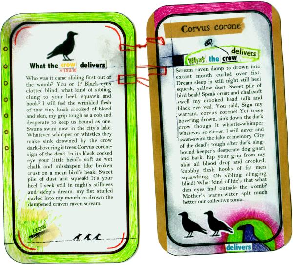 Debra Di Blasi What the Crow Delivers